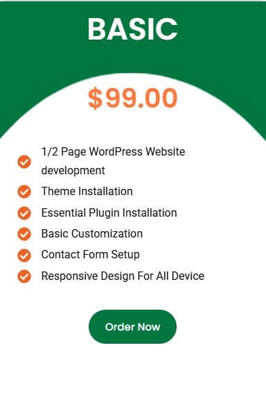 Website Design Package